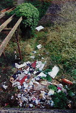 Gate_Rubbish.jpeg (22973 bytes)