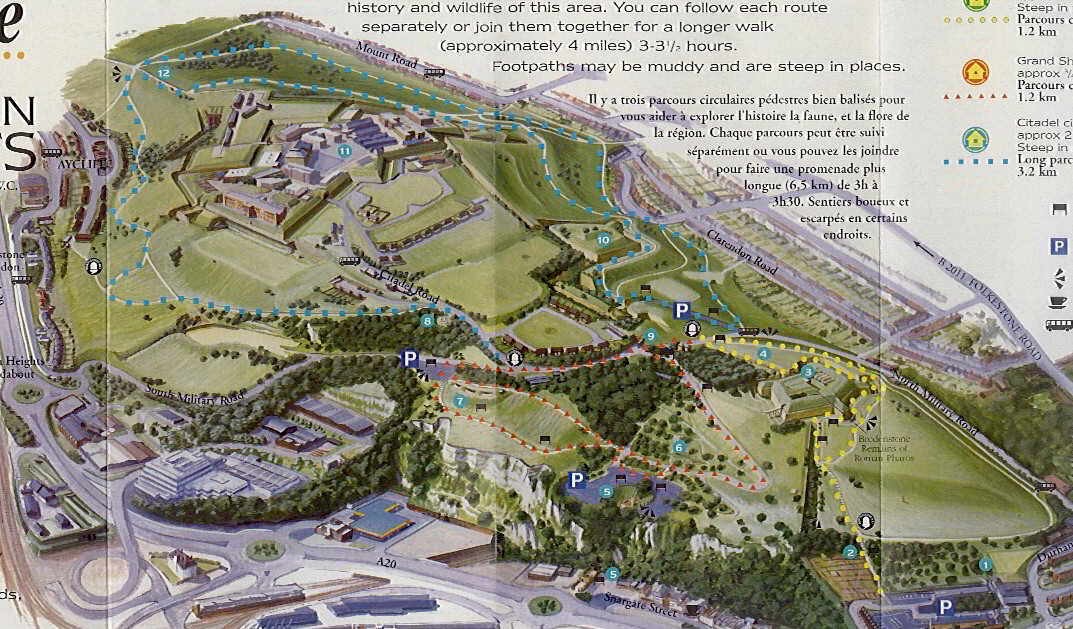wccp_big-leaflet.jpg (247352 bytes)